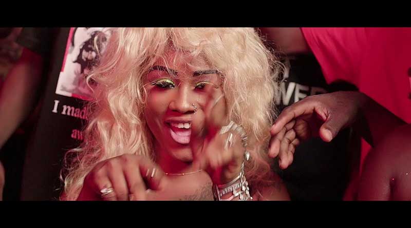 Ypee ft Kofi Mole Botom Video.
