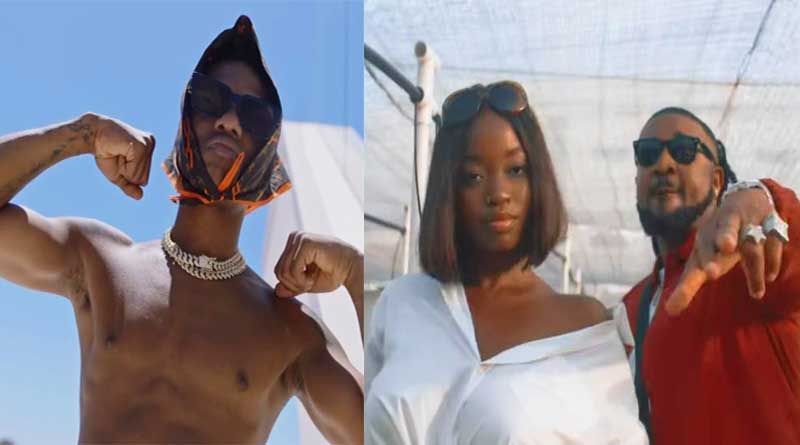Wizkid ft Ceeza Milli Sarz Video