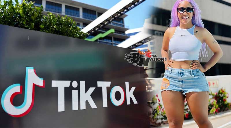 European Parliament to ban TikTok from staff phones.