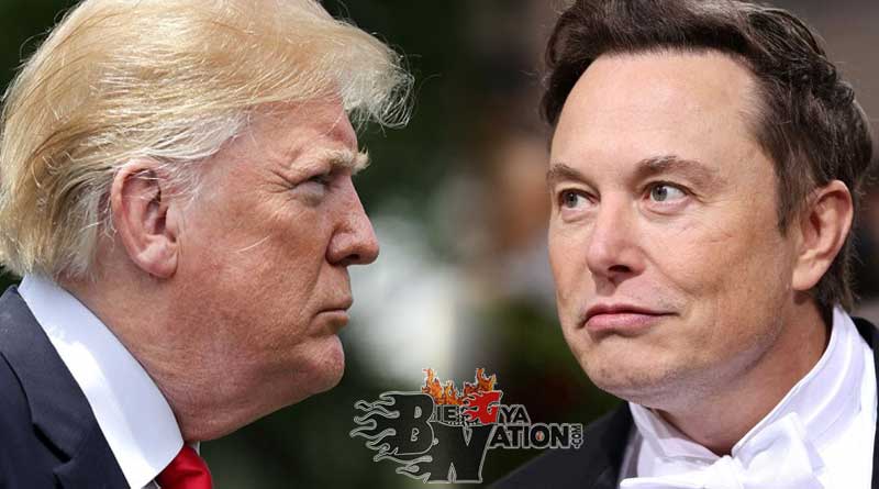 Donald Trump and Elon Muck in a face-off