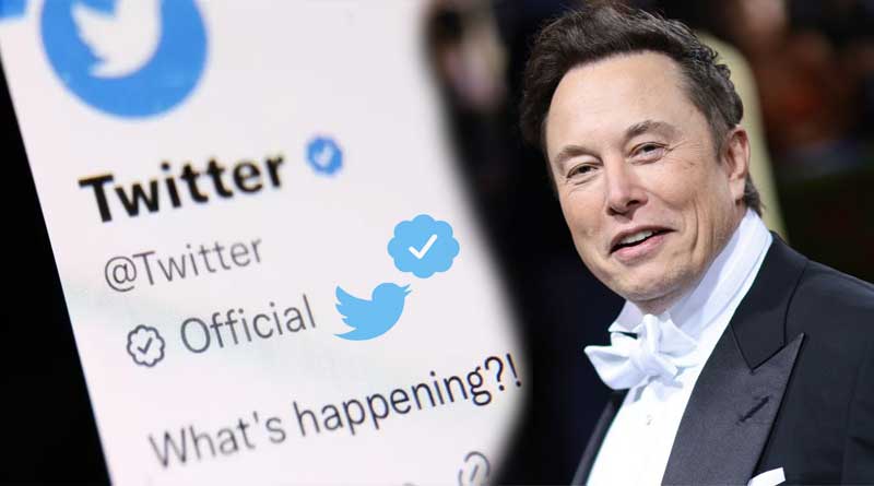 Elon Musk the owner of Twitter